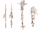 Concept Arts