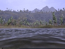 Umgebung