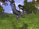 Mounts